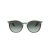 Ray-Ban Naočare za sunce RB 0RB2204 1394GK