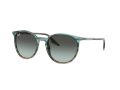 Ray-Ban Naočare za sunce RB 0RB2204 1394GK