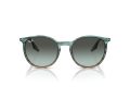Ray-Ban Naočare za sunce RB 0RB2204 1394GK