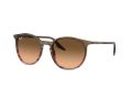 Ray-Ban Naočare za sunce RB 0RB2204 13953B