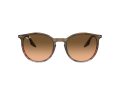 Ray-Ban Naočare za sunce RB 0RB2204 13953B