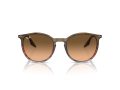 Ray-Ban Naočare za sunce RB 0RB2204 13953B
