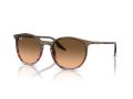 Ray-Ban Naočare za sunce RB 0RB2204 13953B
