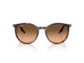 Ray-Ban Naočare za sunce RB 2204 14293B