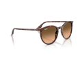 Ray-Ban Naočare za sunce RB 2204 14293B