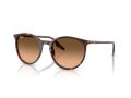 Ray-Ban Naočare za sunce RB 2204 14293B