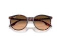 Ray-Ban Naočare za sunce RB 2204 14293B