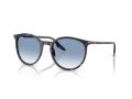 Ray-Ban Naočare za sunce RB 2204 14303F