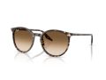 Ray-Ban Naočare za sunce RB 2204 143151
