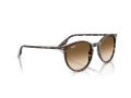 Ray-Ban Naočare za sunce RB 2204 143151