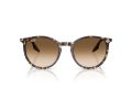 Ray-Ban Naočare za sunce RB 2204 143151