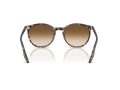 Ray-Ban Naočare za sunce RB 2204 143151
