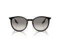 Ray-Ban Naočare za sunce RB 0RB2204 901/32