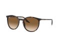 Ray-Ban Naočare za sunce RB 0RB2204 902/51