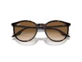 Ray-Ban Naočare za sunce RB 0RB2204 902/51