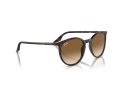 Ray-Ban Naočare za sunce RB 0RB2204 902/51