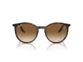 Ray-Ban Naočare za sunce RB 0RB2204 902/51