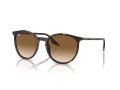 Ray-Ban Naočare za sunce RB 0RB2204 902/51