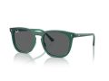 Ray-Ban Naočare za sunce RB 2210 6615B1