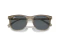 Ray-Ban Naočare za sunce RB 2210 6765R5