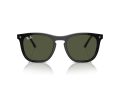 Ray-Ban Naočare za sunce RB 2210 901/31