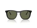 Ray-Ban Naočare za sunce RB 2210 901/58