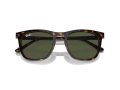 Ray-Ban Naočare za sunce RB 2210 902/31