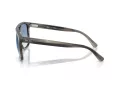 Ray-Ban Naočare za sunce RB 2213 14243F