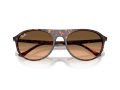 Ray-Ban Naočare za sunce RB 2215 14293B