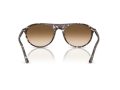 Ray-Ban Naočare za sunce RB 2215 143151