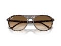 Ray-Ban Naočare za sunce RB 2215 143151