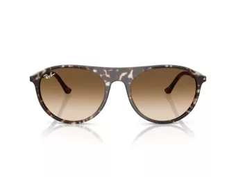 Ray-Ban Naočare za sunce RB 2215 143151