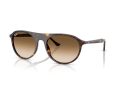 Ray-Ban Naočare za sunce RB 2215 902/51