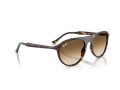 Ray-Ban Naočare za sunce RB 2215 902/51