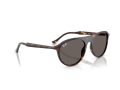 Ray-Ban Naočare za sunce RB 2215 902/B1