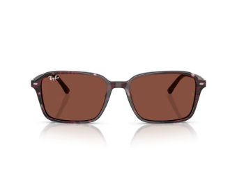 Ray-Ban Raimond Naočare za sunce RB 2231 1416C5