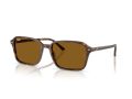 Ray-Ban Raimond Naočare za sunce RB 2231 141833