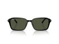 Ray-Ban Raimond Naočare za sunce RB 2231 901/31