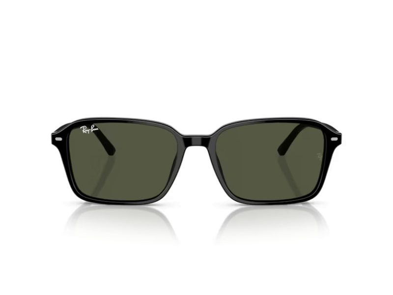 Ray-Ban Raimond Naočare za sunce RB 2231 901/31
