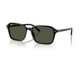 Ray-Ban Raimond Naočare za sunce RB 2231 901/31