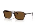 Ray-Ban Raimond Naočare za sunce RB 2231 902/57