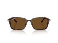 Ray-Ban Raimond Naočare za sunce RB 2231 902/57