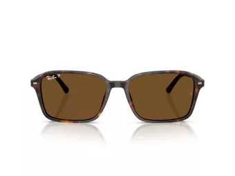 Ray-Ban Raimond Naočare za sunce RB 2231 902/57