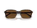 Ray-Ban Raimond Naočare za sunce RB 2231 902/57