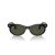Ray-Ban Wayfarer Oval Naočare za sunce RB 2242 901/31