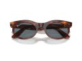 Ray-Ban Wayfarer Oval Naočare za sunce RB 2242 954/3R