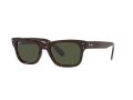 Ray-Ban Mr Burbank Naočare za sunce RB 2283 902/31