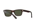 Ray-Ban Mr Burbank Naočare za sunce RB 2283 902/31