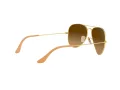 Ray-Ban Aviator Large Metal Naočare za sunce RB 3025 112/M2