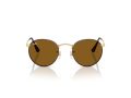 Ray-Ban Round Metal Naočare za sunce RB 3447 927533